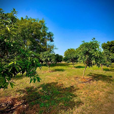 Mangohut Farmhouse Pool Villa ไฮเดอราบัด ภายนอก รูปภาพ
