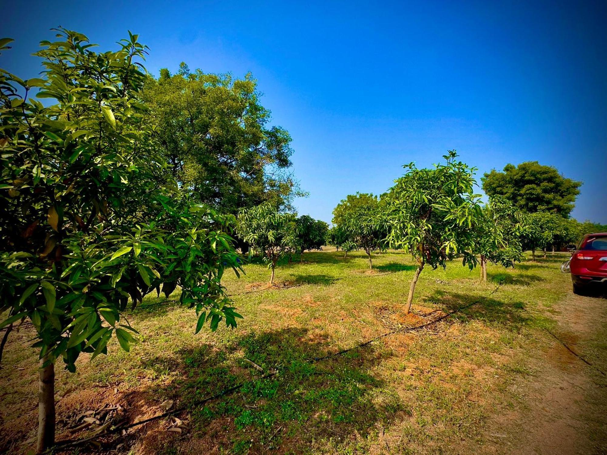 Mangohut Farmhouse Pool Villa ไฮเดอราบัด ภายนอก รูปภาพ
