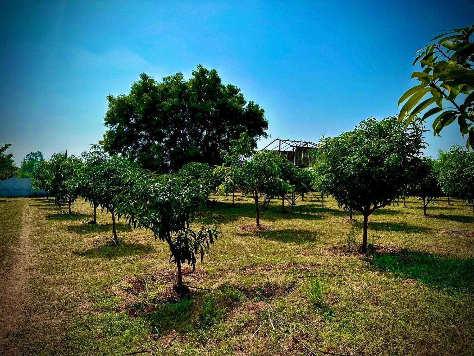 Mangohut Farmhouse Pool Villa ไฮเดอราบัด ภายนอก รูปภาพ
